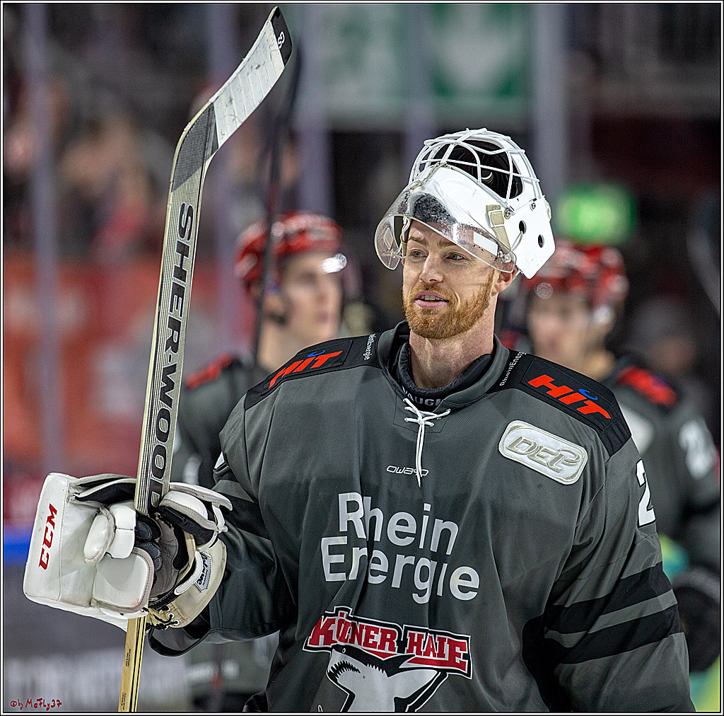 DEL; Koelner Haie - Straubing Tigers, 02.12.2018